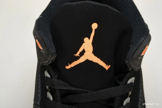 Fear Jordan CT8532-080 (2023) CT8532-080 Retro 3 0902
